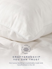 Snuggledown Goose Feather & Down 100% Cotton Pillow - Image 5 of 9