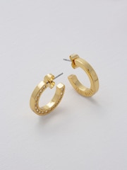 Ted Baker Gold Tone SENATTA: Crystal Hoop Earrings - Image 1 of 9