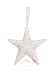 Little Dutch Pink Star-Shaped Flowers & Butterflies Music Box - Image 1 of 1