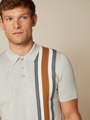 Grey Asymmetric Stripe Regular Knitted Polo Shirt - Image 1 of 7
