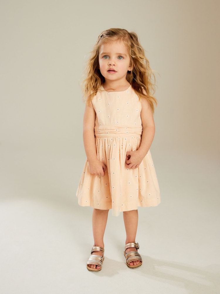 Taupe Daisy Embroidered Dress (3mths-8yrs) - Image 1 of 7