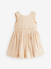 Taupe Daisy Embroidered Dress (3mths-8yrs) - Image 5 of 7