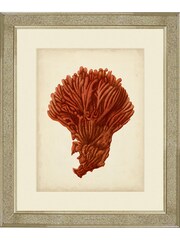 Brookpace Lascelles Gold Antique Red Coral I in Antique Mirrored Frame - Image 1 of 3