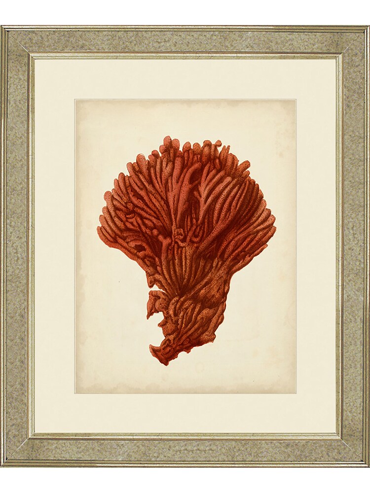 Brookpace Lascelles Gold Antique Red Coral I in Antique Mirrored Frame - Image 1 of 3