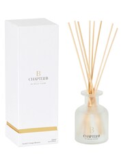 Chapter B Frosted Glass Diffuser - Image 4 of 5