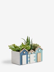 Green Artificial Coastal Succulents In Beach House Pot - Image 3 of 4
