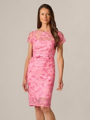Adrianna Papell Pink Illusion Embroidery Dress - Image 1 of 6