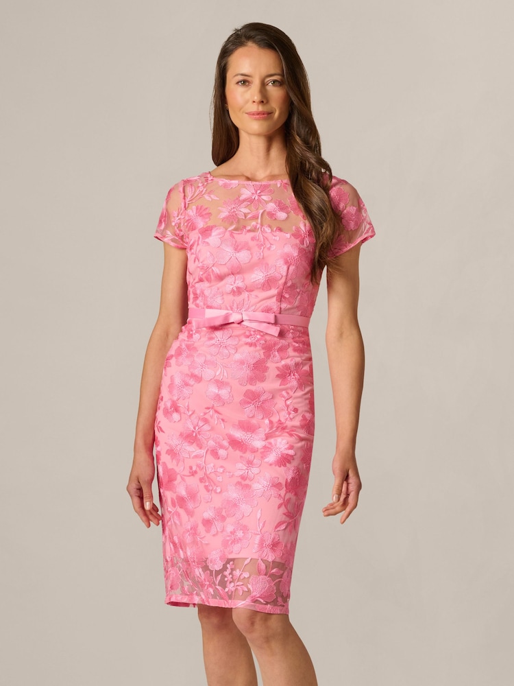 Adrianna Papell Pink Illusion Embroidery Dress - Image 1 of 6