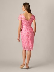 Adrianna Papell Pink Illusion Embroidery Dress - Image 2 of 6
