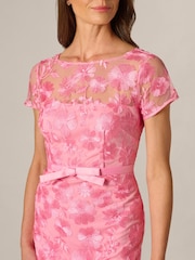 Adrianna Papell Pink Illusion Embroidery Dress - Image 4 of 6