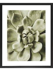 Brookpace Lascelles Black Agave Leaves Photographic Picture in Satin Frame - Image 1 of 3