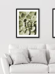 Brookpace Lascelles Black Agave Leaves Photographic Picture in Satin Frame - Image 2 of 3