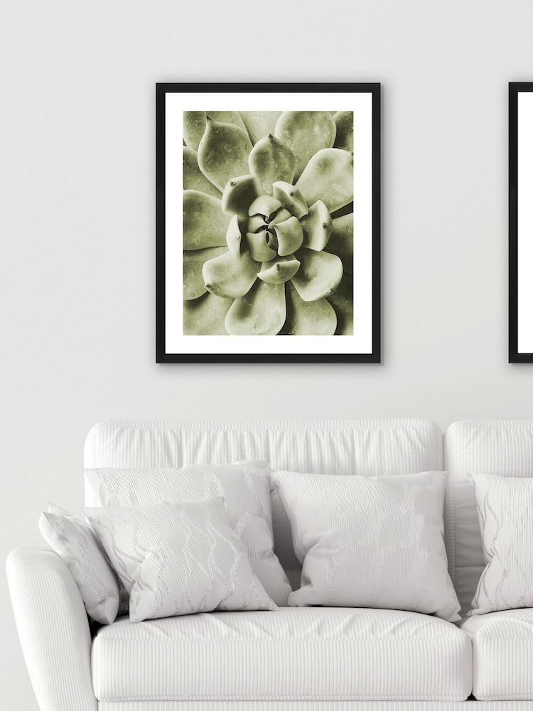 Brookpace Lascelles Black Agave Leaves Photographic Picture in Satin Frame - Image 2 of 3