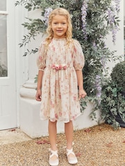 Cream/Pink Floral Chiffon Corsage Dress (3-16yrs) - Image 1 of 8