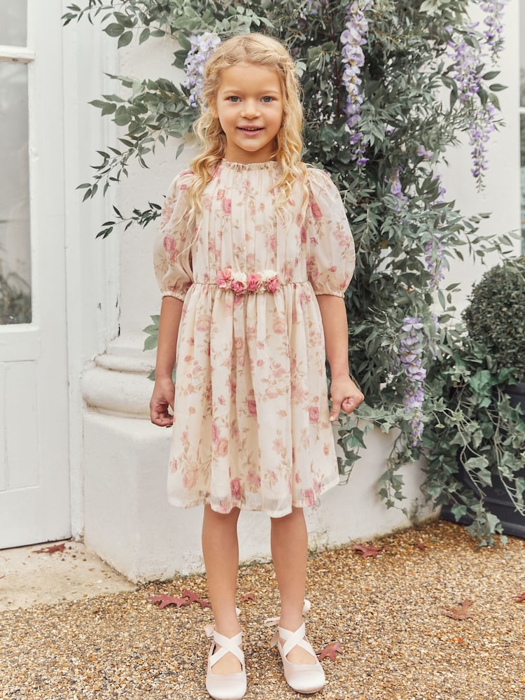 Cream/Pink Floral Chiffon Corsage Dress (3-16yrs) - Image 1 of 8