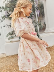 Cream/Pink Floral Chiffon Corsage Dress (3-16yrs) - Image 2 of 8