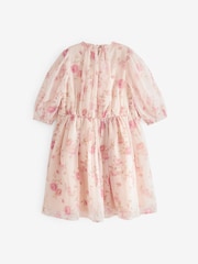 Cream/Pink Floral Chiffon Corsage Dress (3-16yrs) - Image 8 of 8