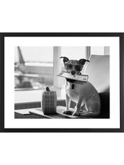 Brookpace Lascelles Black 'Terrier Travel' Photographic Print in Glass Frame - Image 1 of 3