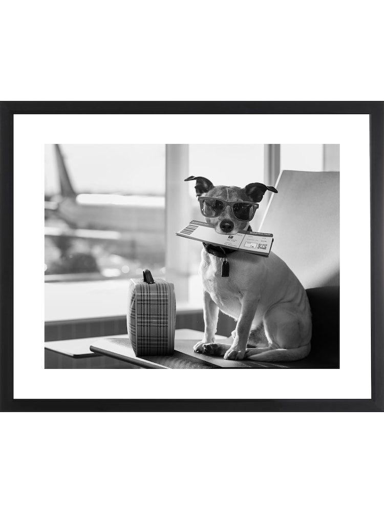 Brookpace Lascelles Black 'Terrier Travel' Photographic Print in Glass Frame - Image 1 of 3