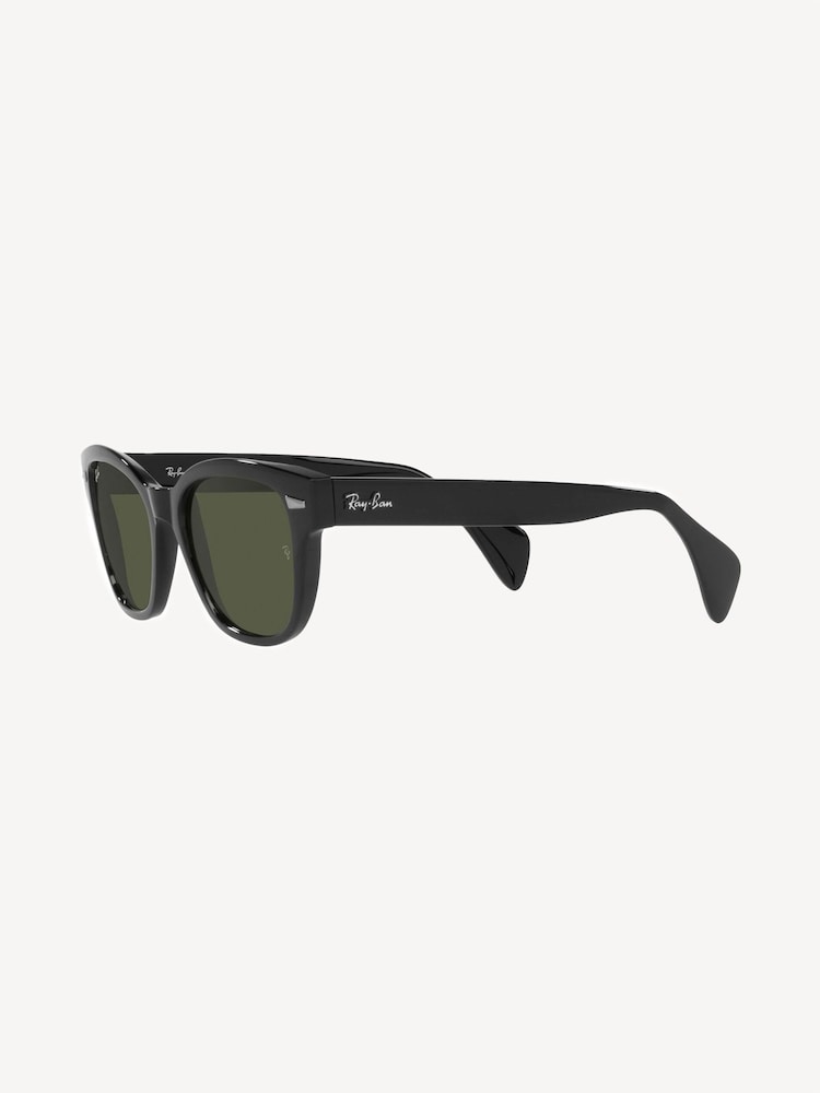 Ray-Ban Sunglasses - Image 10 of 13