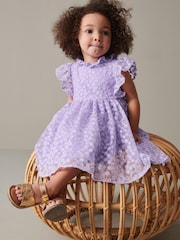 Lilac Purple Short Sleeve Lace Dress (3mths-6yrs) - Image 1 of 6