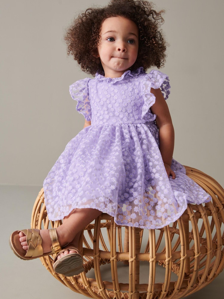 Lilac Purple Short Sleeve Lace Dress (3mths-6yrs) - Image 1 of 6