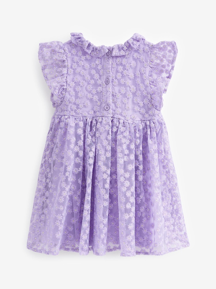 Lilac Purple Short Sleeve Lace Dress (3mths-6yrs) - Image 6 of 6