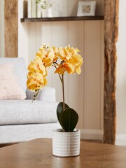 Yellow Artificial Real Touch Orchid In Country Pot - Image 1 of 3