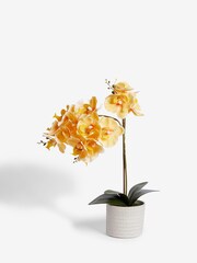 Yellow Artificial Real Touch Orchid In Country Pot - Image 2 of 3