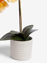 Yellow Artificial Real Touch Orchid In Country Pot - Image 3 of 3