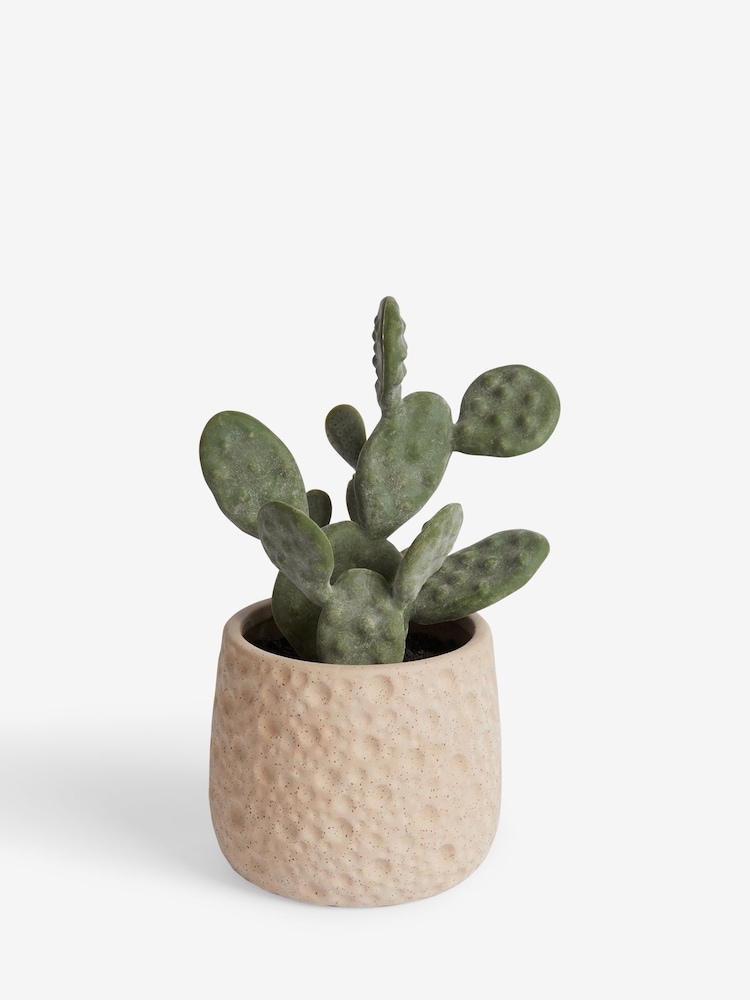 Green Artificial Cactus In Natural Pot - Image 2 of 3
