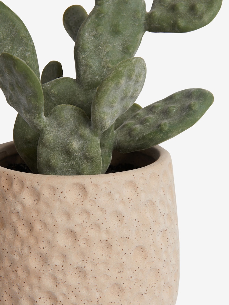 Green Artificial Cactus In Natural Pot - Image 3 of 3 Green Artificial Cactus In Natural Pot - Image 3 of 3