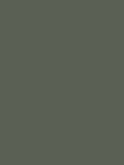 Morris & Co. Morris Trellis Matt Emulsion Paint - Image 2 of 2
