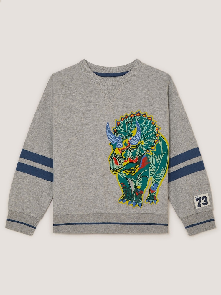 Monsoon Triceratops Graphic Sweatshirt - Պատկեր 2 4-ից