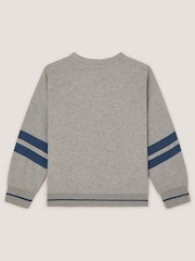 Monsoon Triceratops Graphic Sweatshirt - Պատկեր 3 4-ից
