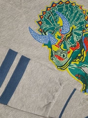 Monsoon Triceratops Graphic Sweatshirt - Պատկեր 4 4-ից