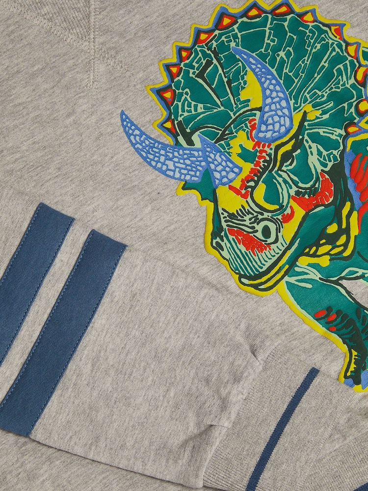 Monsoon Triceratops Graphic Sweatshirt - Պատկեր 4 4-ից