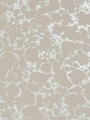 Clarke and Clarke Blush Gilver Pietra 10.05M Wallpaper - Image 2 of 2