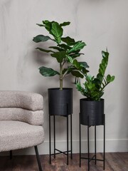 Libra Set of 2 Black Clyde Indoor Planters On Stands - Image 1 of 4