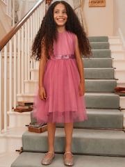 Rose Pink Mesh Tie Back Party Dress (3-16yrs) - Image 1 of 14