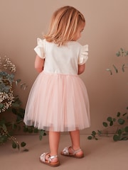 Pink Ballerina Tutu Skirt Dress (3mths-7yrs) - Image 3 of 6