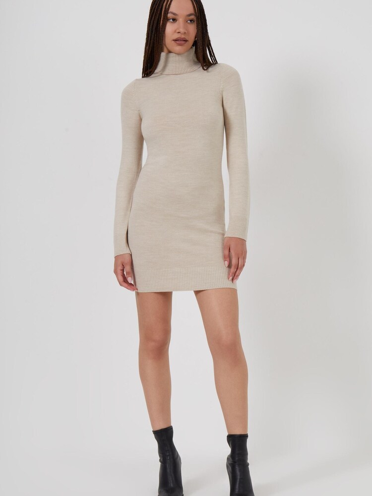 French Connection Brown Babysoft Roll Neck Dress - Image 1 of 4