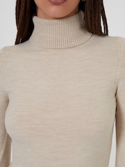 French Connection Brown Babysoft Roll Neck Dress - Image 3 of 4