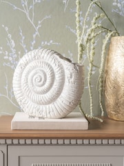 Laura Ashley Natural Conche Shell Ornament - Image 1 of 5