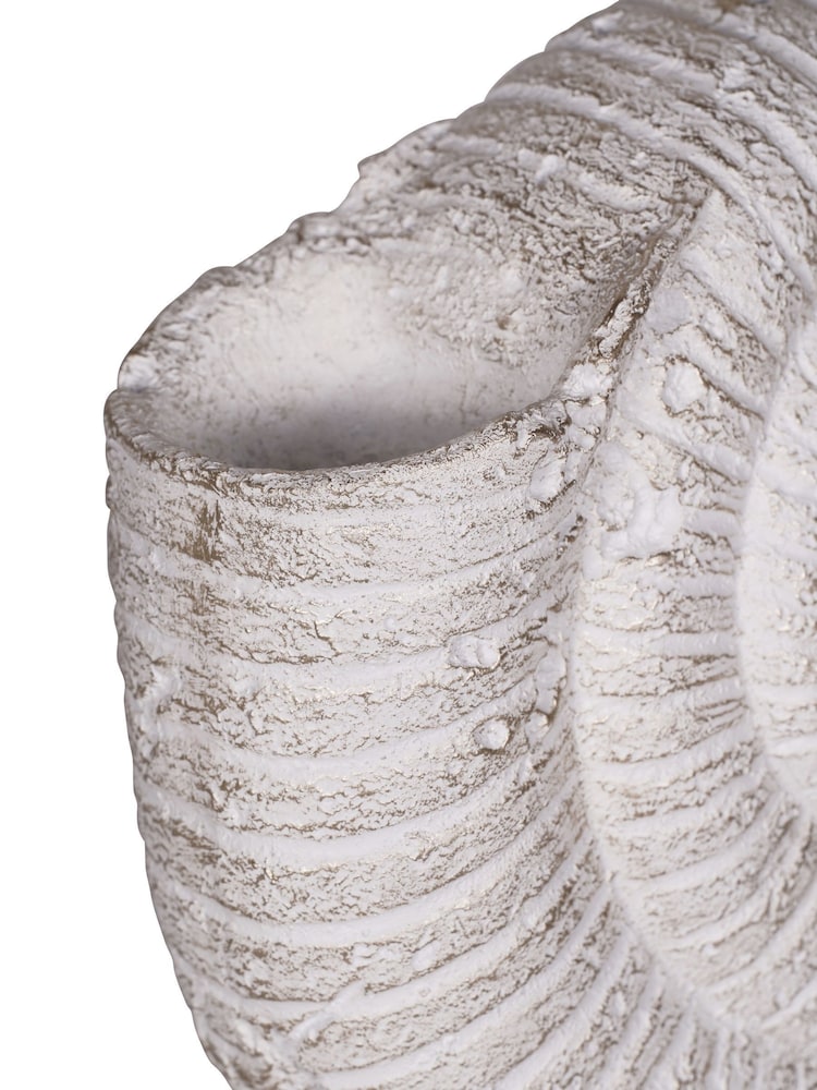 Laura Ashley Natural Conche Shell Ornament - Image 5 of 5