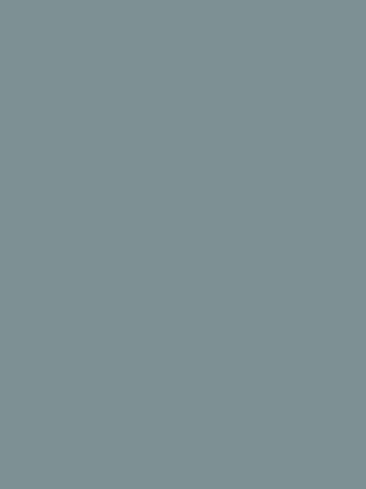 Morris & Co. River Wandle Matt Emulsion Paint - Image 2 of 2