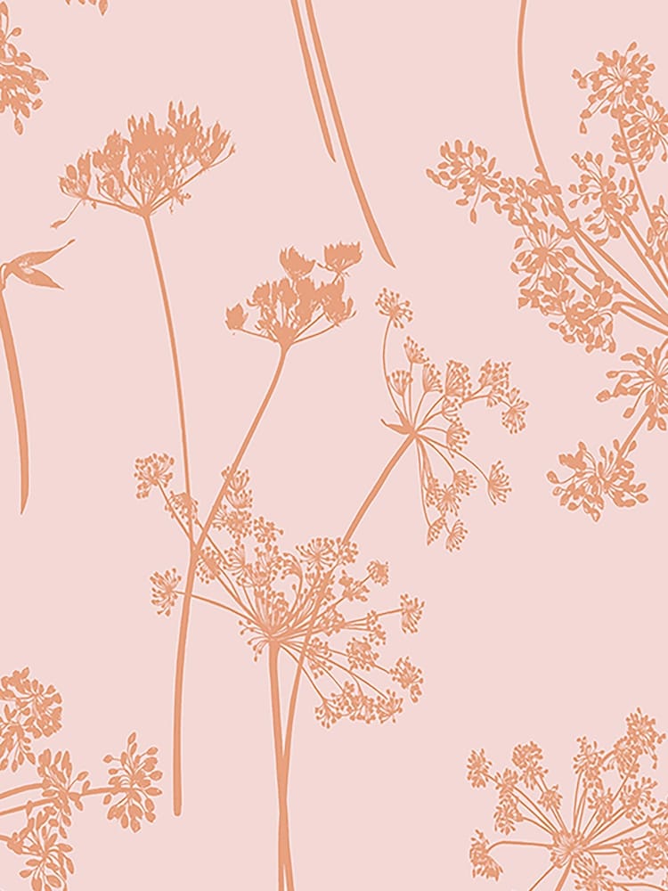 Graham & Brown Pink Anthriscus Blush 10M Wallpaper - Image 2 of 3