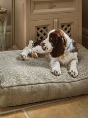Hug Rug Natural Pet Bed - Image 1 of 3