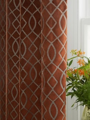 Orange Next Collection Luxe Heavyweight Maeve Damask Velvet Eyelet Lined Curtains - Image 3 of 5