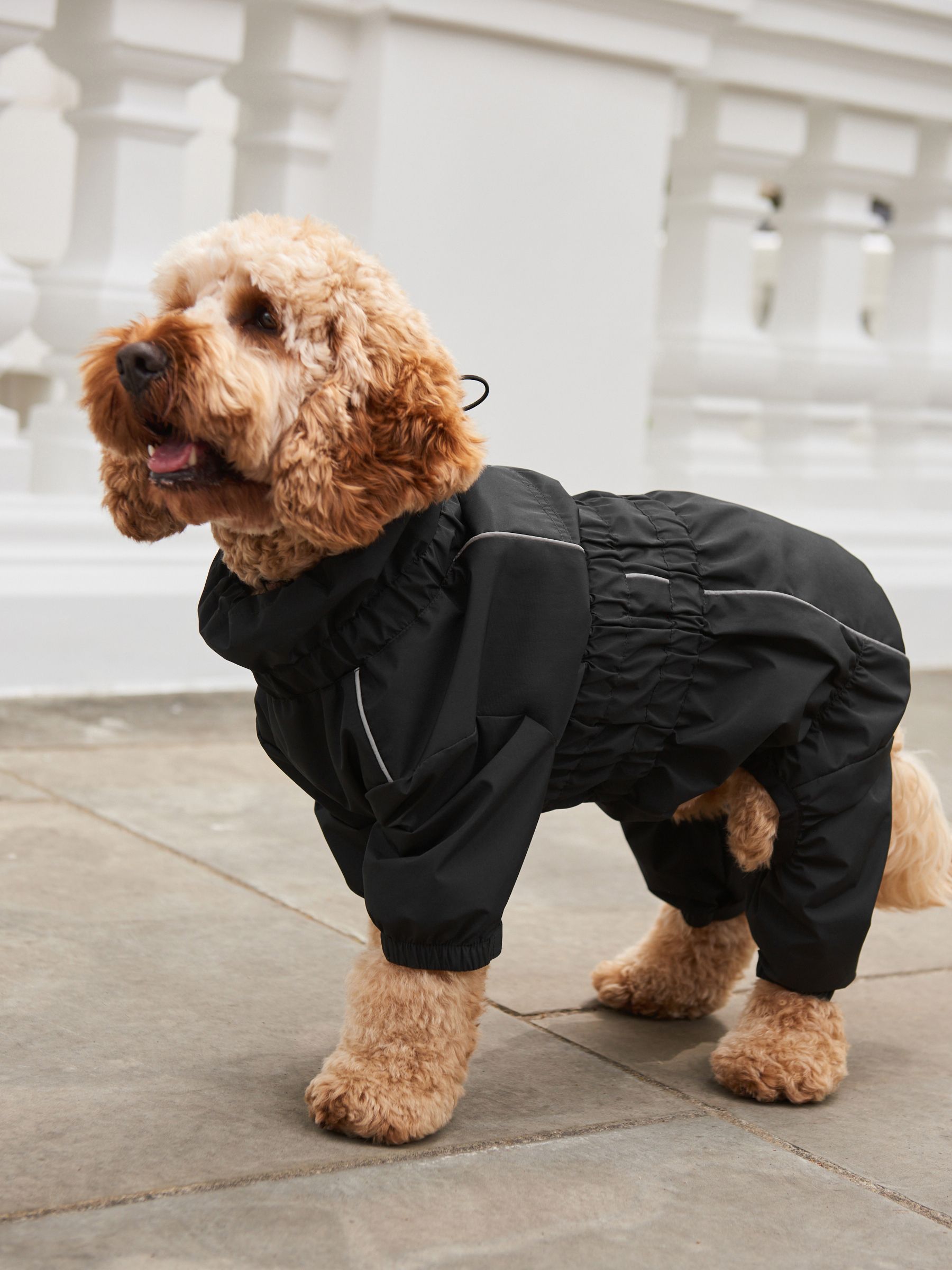 Joules waterproof dog coats top
